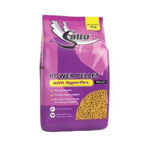 salto power pellet
